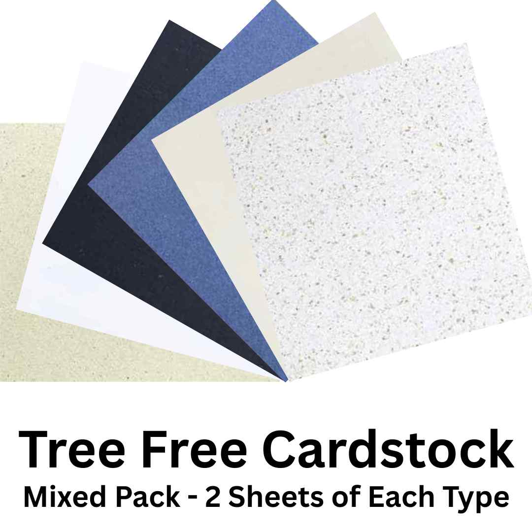 Tree Free Paper - 12x12 - Mixed Pack