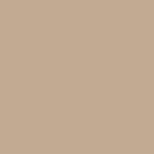 Solid Mocha Coloured 12x12" cardstock in the darker shade.