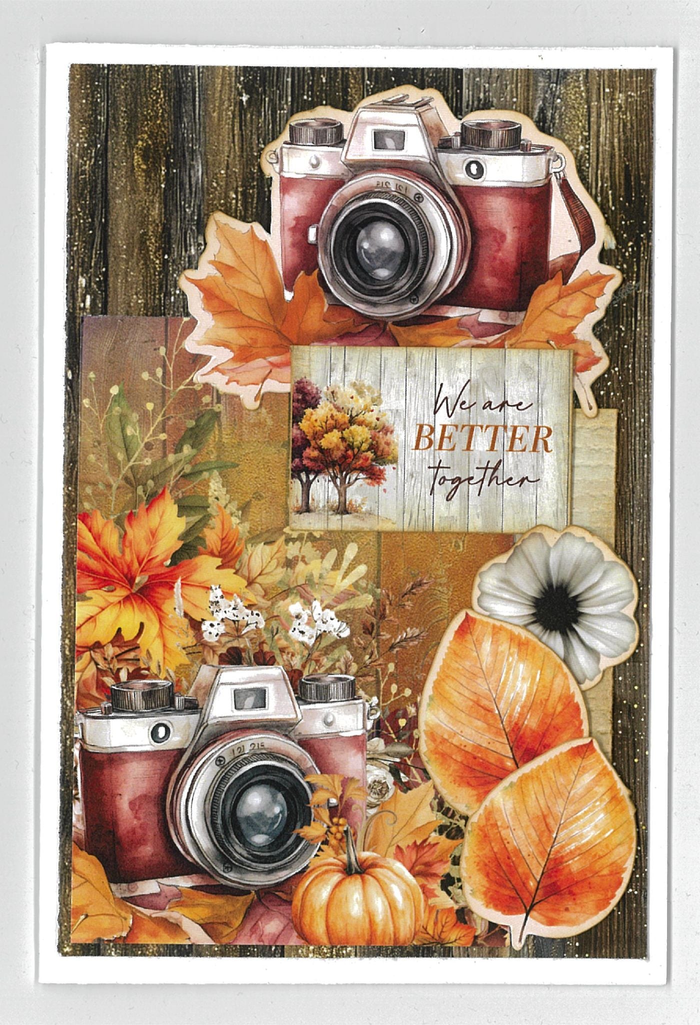 Autumn Whispers card sample 5 – portrait card with dark glitter timber background, two vintage cameras, autumn leaves, white anemone and pumpkin die-cut embellishments with sentiment 'We are Better Together'