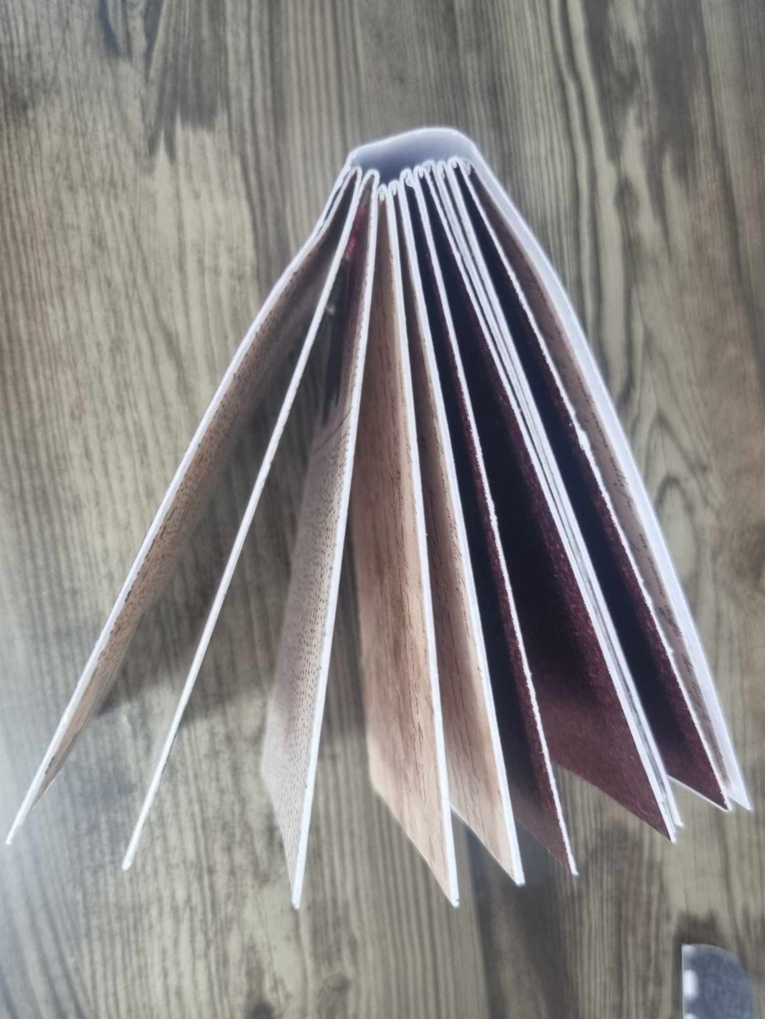 3Quarter Designs Once Upon a Time Book Shop hidden mini album viewed from above showing multiple pages fanned out from the spine, with alternating cream and burgundy pages visible, demonstrating the assembly construction