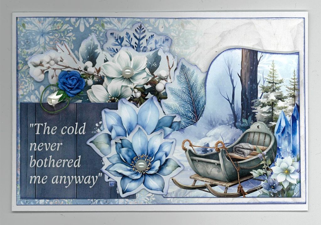 Handmade card featuring a winter collage with flowers, crystals, sled, and “The cold never bothered me anyway” quote