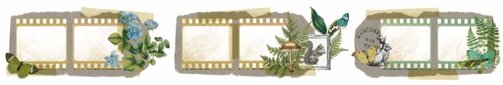 Close-up of Hidden Creek Filmstrip Kiss-Cut PET Tape designs — three vintage filmstrip sections decorated with botanical sprigs, ferns, butterflies, squirrels and postage accents in greens and teals 