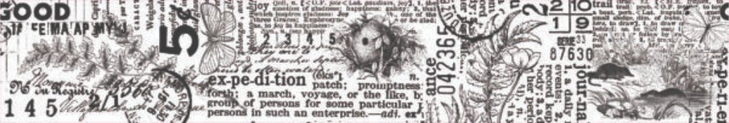 Close-up of Hidden Creek Journal Kiss-Cut PET Tape designs — vintage botanical illustrations, script text, butterflies and nature motifs in black and white