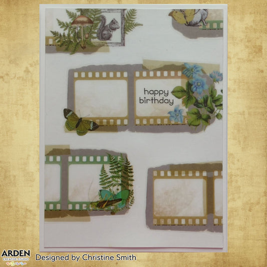 Handmade birthday card sample using Arden Creative Studio Hidden Creek collection, featuring film strip PET Tape featuring squirrel, mushroom, ferns, blue floral cluster and a "Happy Birthday" sentiment.