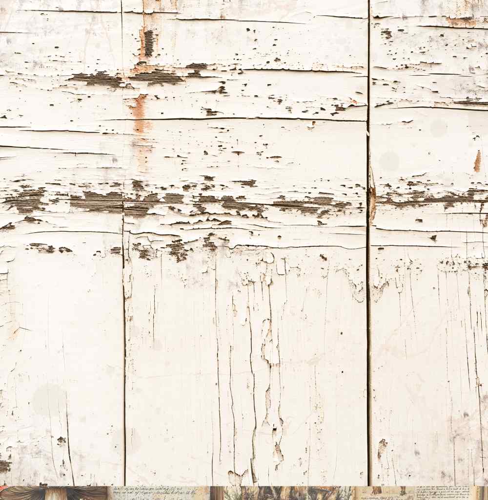 Reverse side of Bee Arty Fungus 12x12 paper featuring a distressed white-painted timber plank background with peeling paint and rustic texture, from the Autumn Whispers collection by Karen Yates