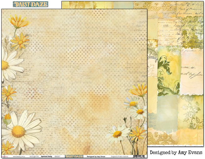 Bee Arty Daisy Daze Spotted Daisy double-sided 12x12 scrapbook paper showing the daisy border front and the layered vintage collage reverse, from the Daisy Daze collection by Amy Evans