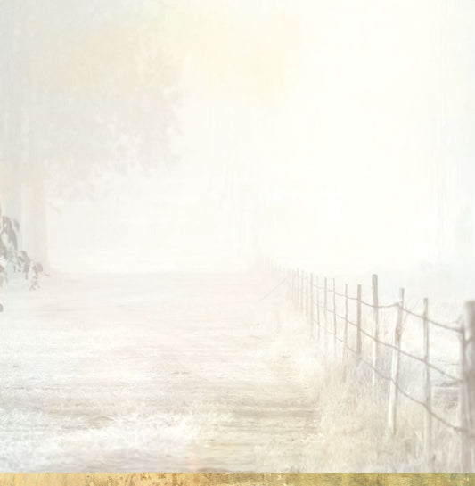 Fence Lines paper reverse side with minimalist grey fence line on pale weathered background from Outback Country Collection