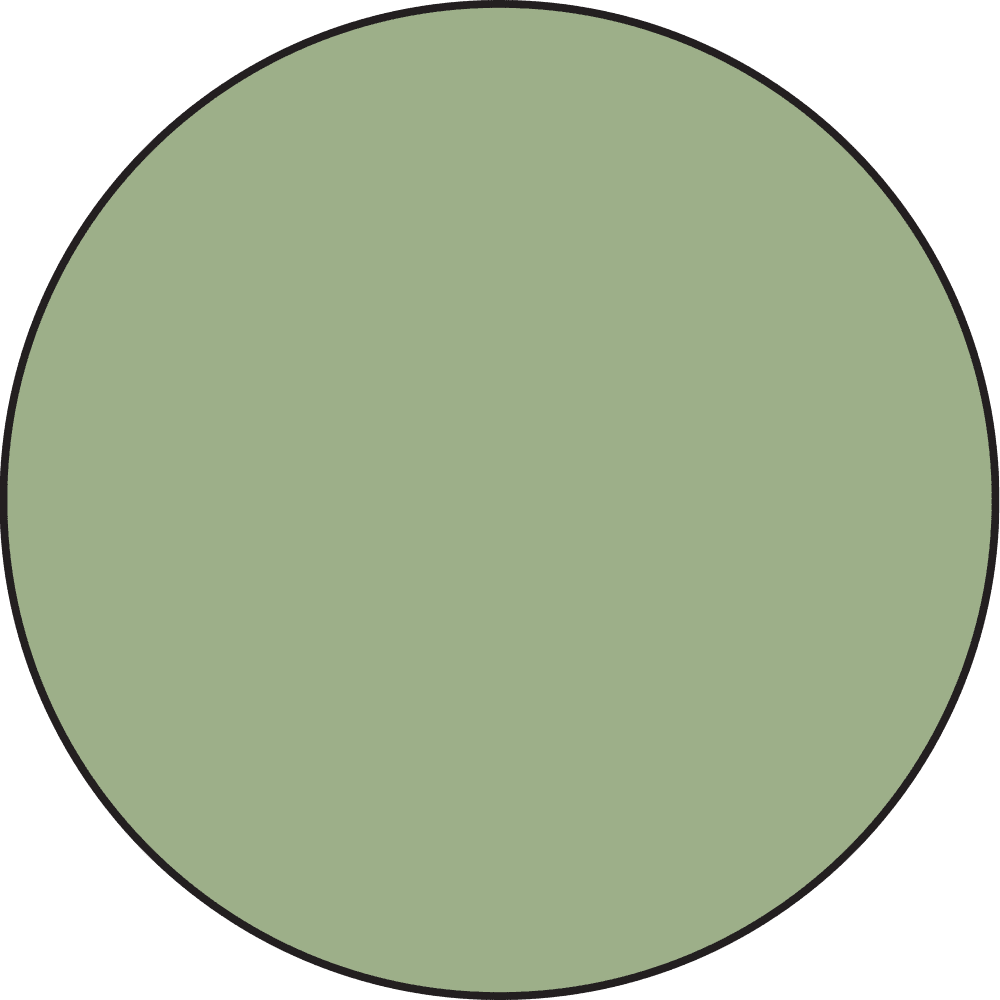 Ranger Distress Oxide Bundled Sage colour sample spot
