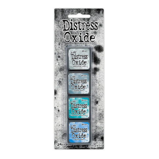 Packaged set of four Ranger Distress Oxide Mini Ink Pads from Kit 4 in Weathered Wood, Stormy Sky, Peacock Feathers and Salty Ocean, shown in original Tim Holtz packaging with grungy black-and-white background.
