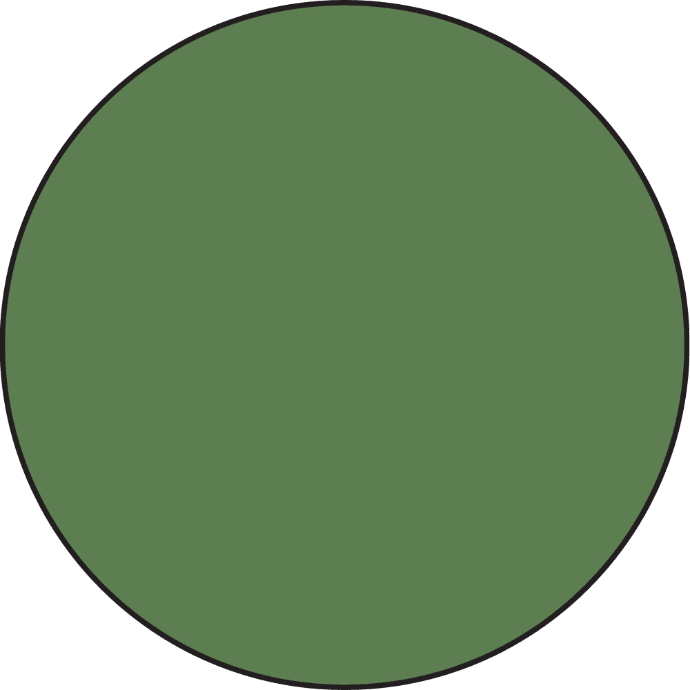 Ranger Distress Oxide Rustic Wilderness colour sample spot
