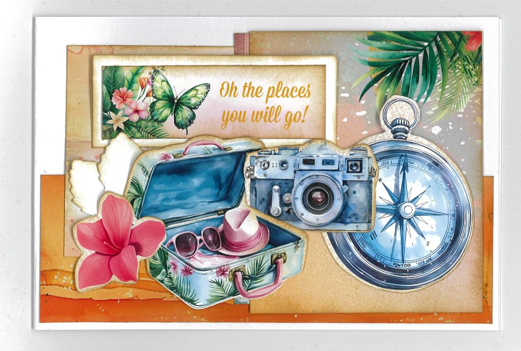 Tropical sample card with camera, compass, suitcase and "Oh the places you will go!" sentiment. 
