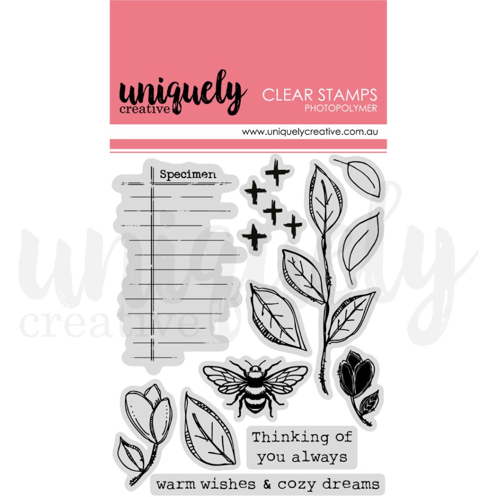 Uniquely Creative clear photopolymer stamp set featuring botanical designs, specimen label, and heartfelt sentiments like "Thinking of you always" and "warm wishes & cozy dreams" — ideal for card making and scrapbooking.