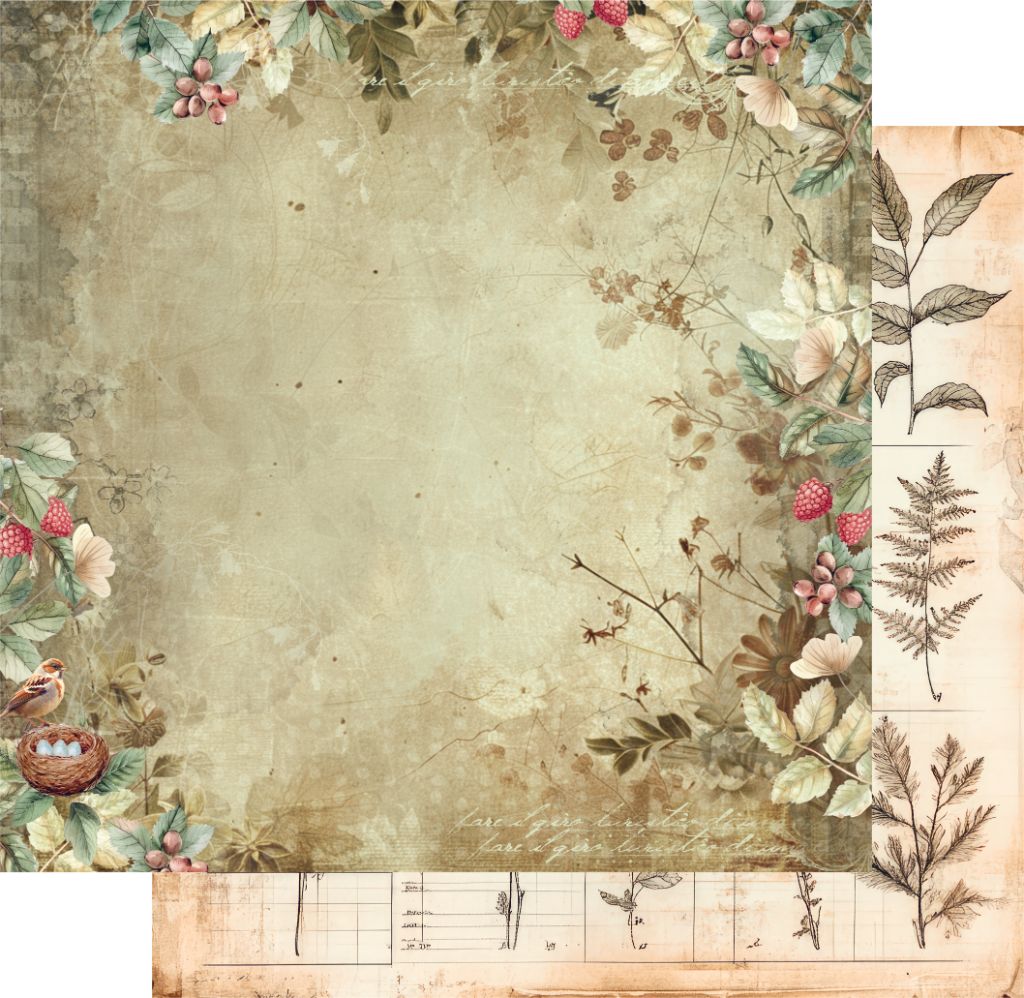 Double-sided 12x12 scrapbook paper showing watercolour birds and berries on front with vintage ledger preview on back