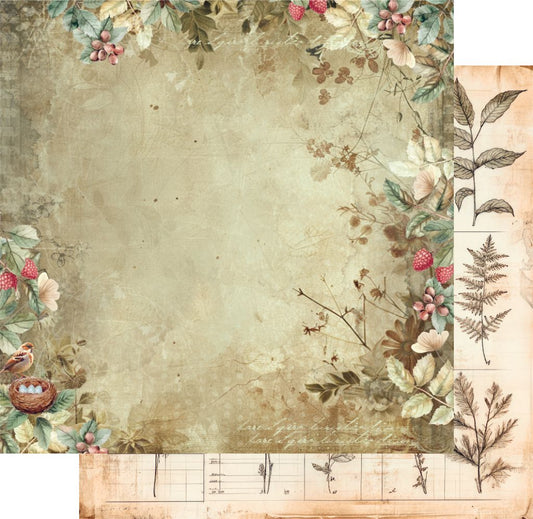Double-sided 12x12 scrapbook paper showing watercolour birds and berries on front with vintage ledger preview on back
