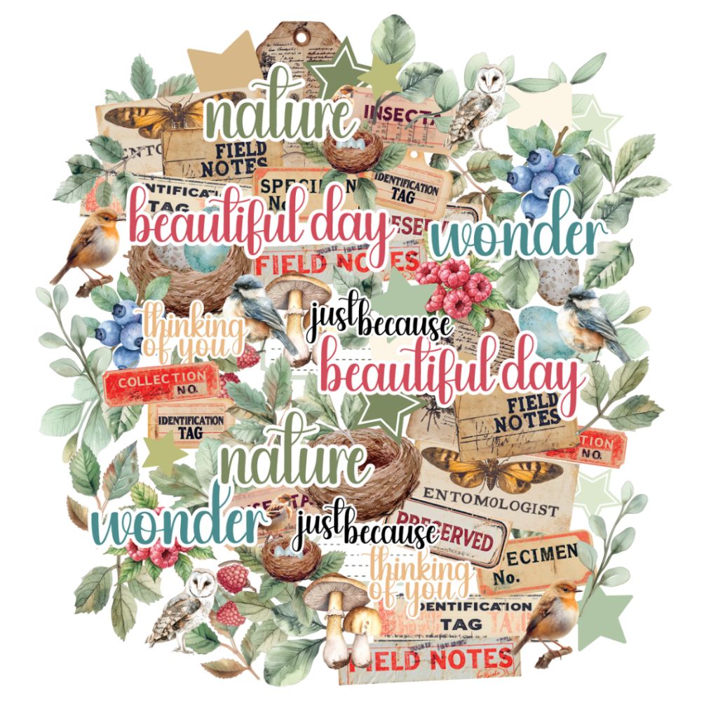 Botanical Chronicles collage of nature illustrations and vintage-style labels for journalling and artistic scrapbooking