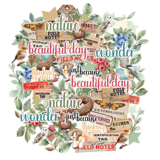 Botanical Chronicles collage of nature illustrations and vintage-style labels for journalling and artistic scrapbooking