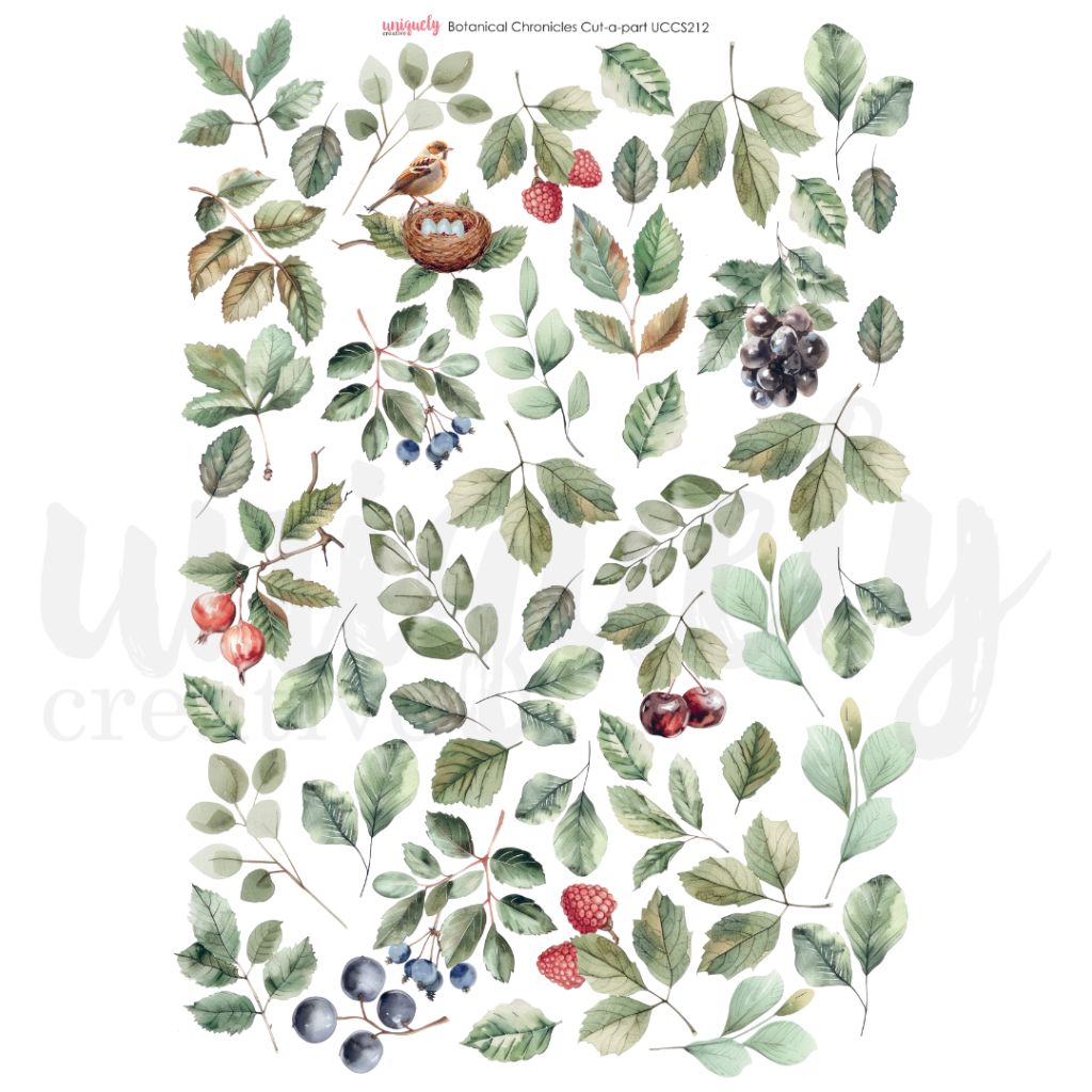 Botanical Chronicles cut-apart sheet with watercolour-style illustrations of berries, fruits, leaves, and bird nest