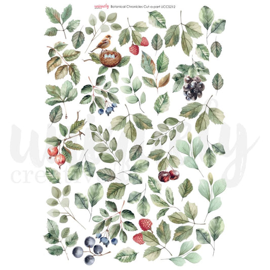 Botanical Chronicles cut-apart sheet with watercolour-style illustrations of berries, fruits, leaves, and bird nest