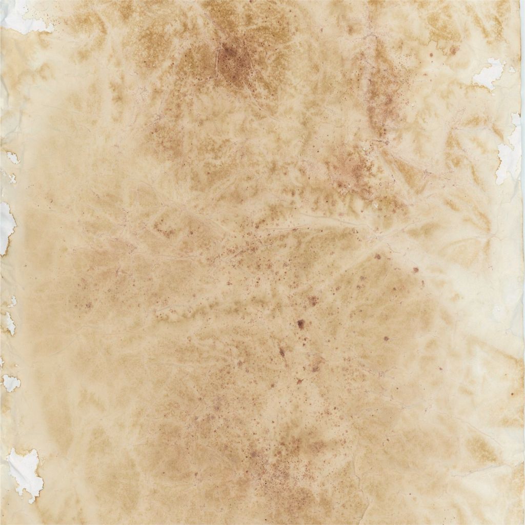 Back side of 12x12 scrapbook paper with aged, stained texture and torn edges for antique-style layering