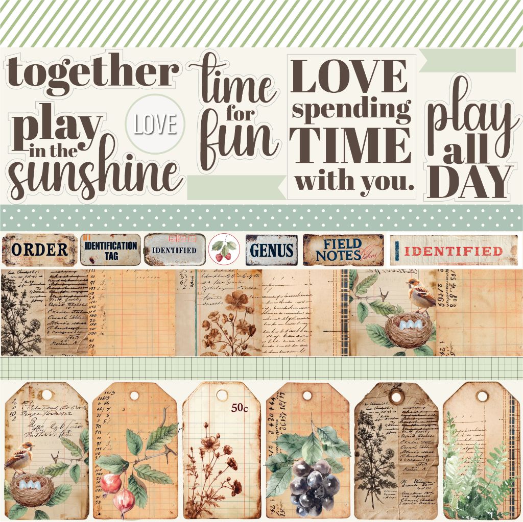 Front side of 12x12 scrapbook paper with inspirational phrases, botanical illustrations, and vintage-style tags