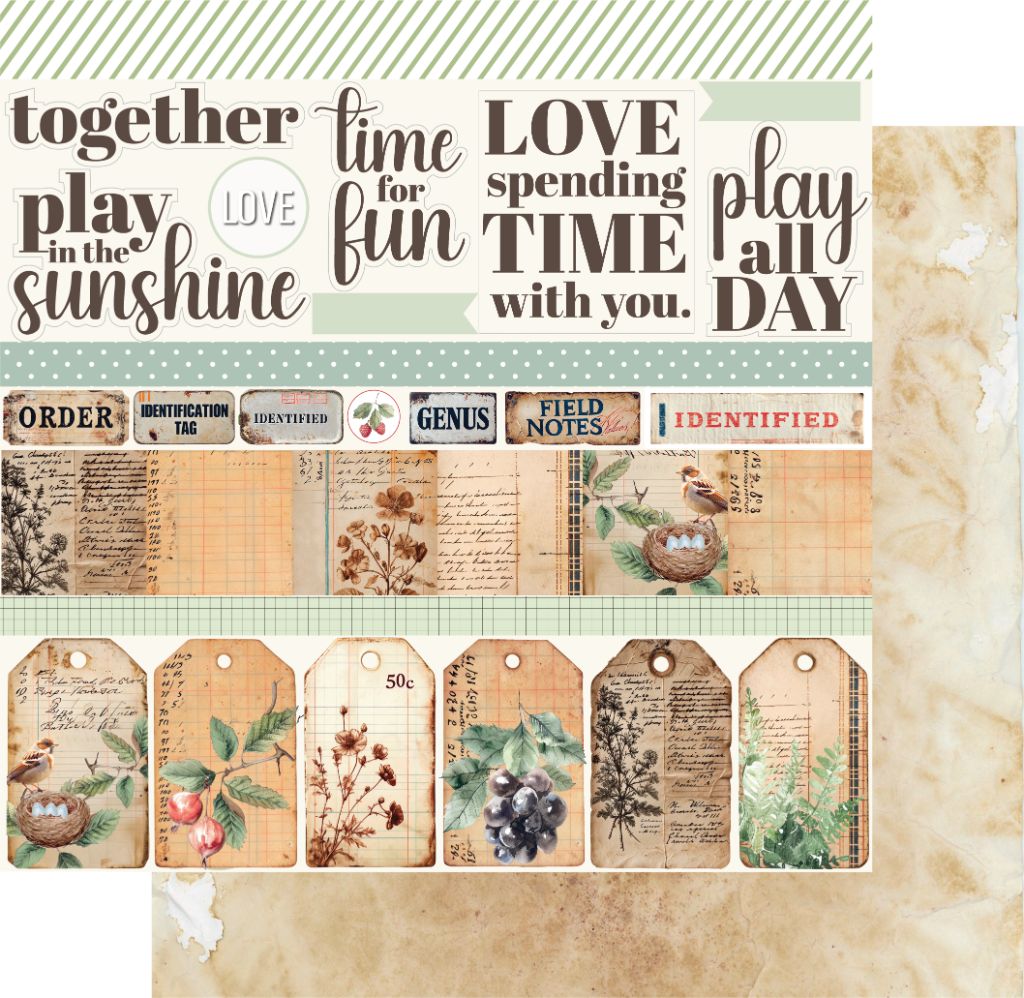 Double-sided 12x12 scrapbook paper showing vintage phrases and nature-themed tags on front with aged paper preview on back