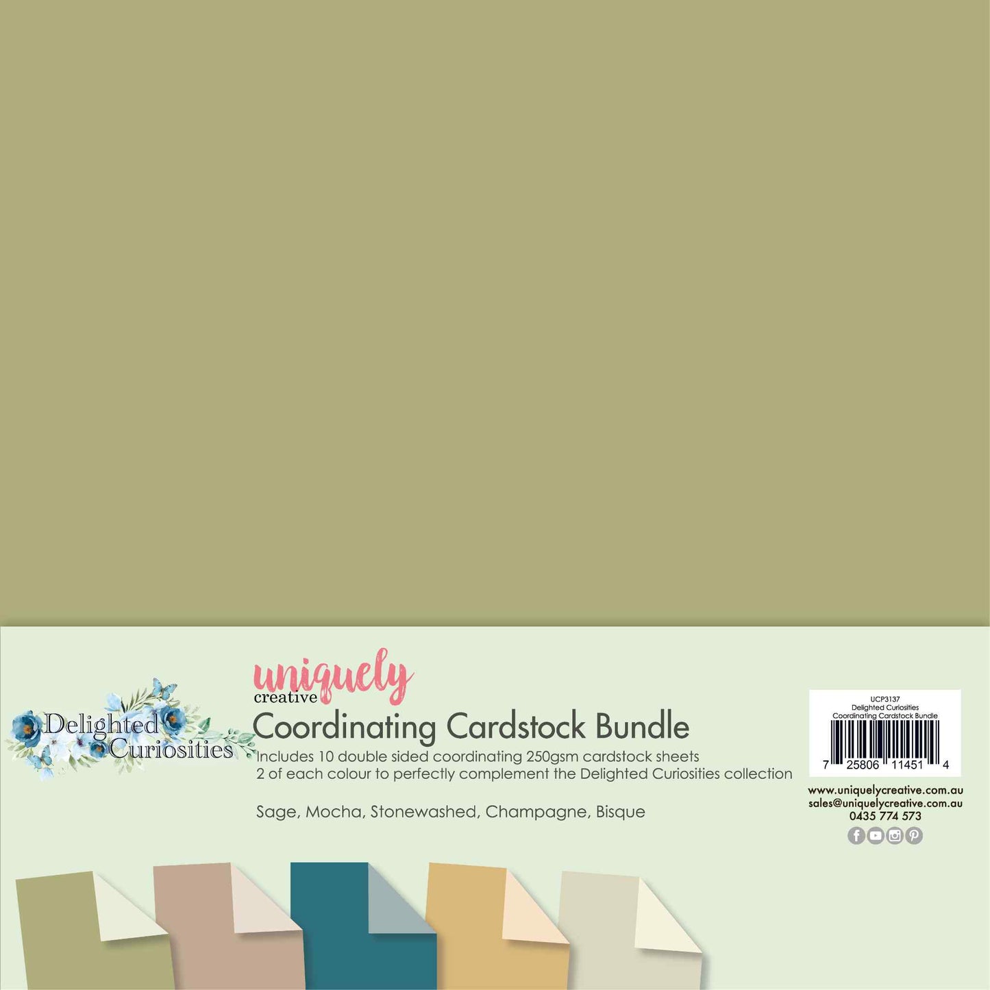 Delighted Curiosities - Coordinating Cardstock Bundle