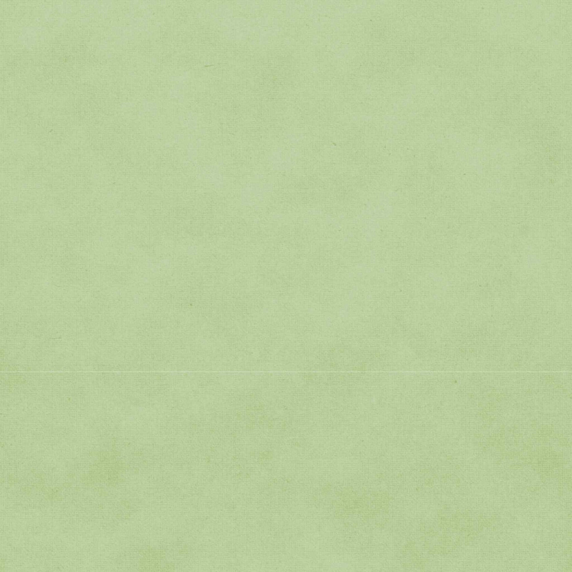 Uniquely Creative Delighted Curiosities Curiosity Cabinet 12x12 paper reverse side, solid sage green cardstock