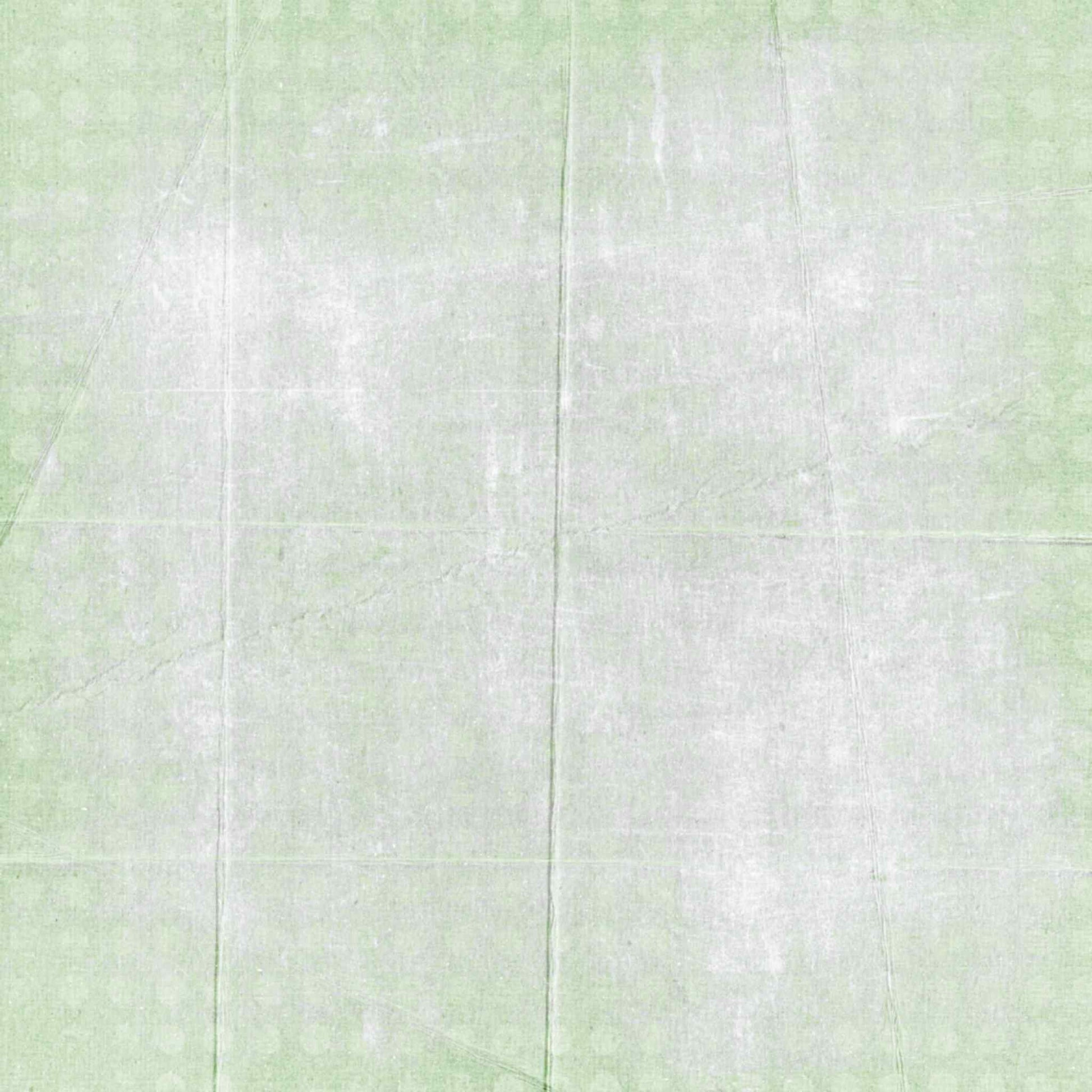 Uniquely Creative Delighted Curiosities Foliage Whispers 12x12 paper reverse side, featuring a soft mottled mint and white grid pattern