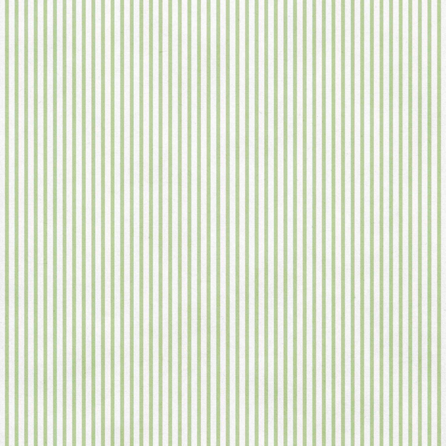 Uniquely Creative Delighted Curiosities The Collector's Ledger 12x12 paper reverse side, featuring a sage green and white thin stripe pattern