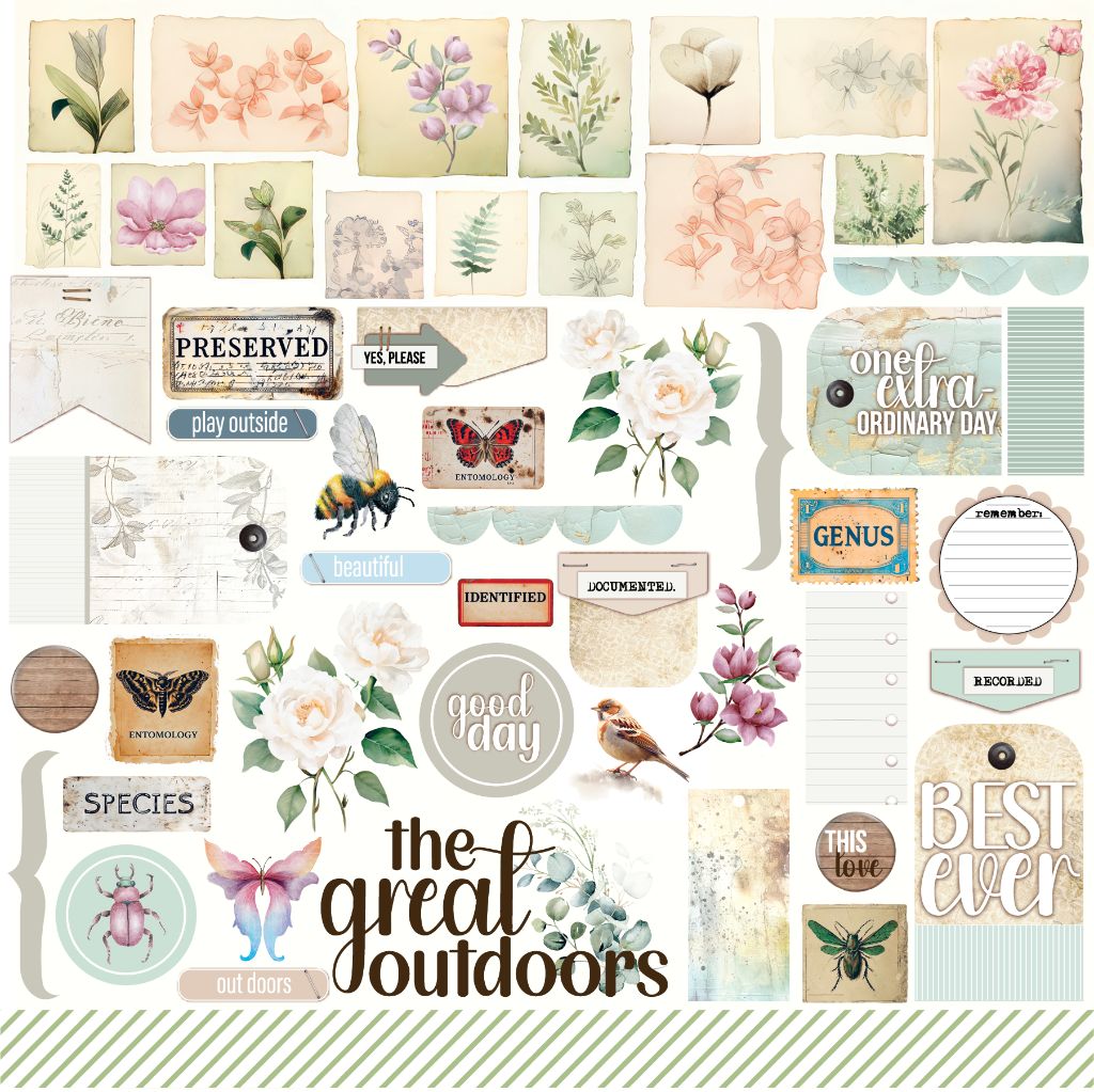 Front side of 12x12 scrapbook paper with botanical illustrations, insects, vintage labels, and inspirational phrases in pastel tones