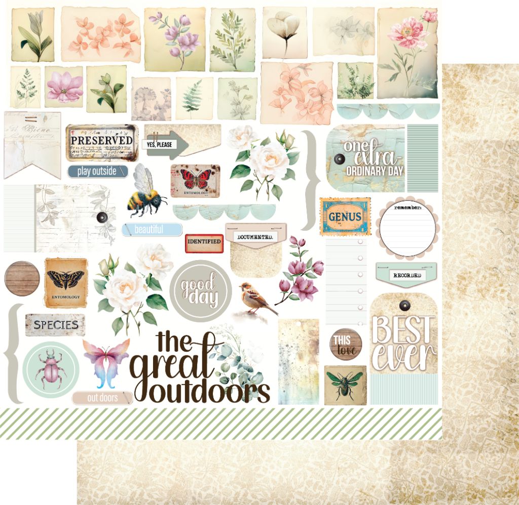 Double-sided 12x12 scrapbook paper showing nature-themed collage of insects, flowers, and phrases on front with aged paper preview on back