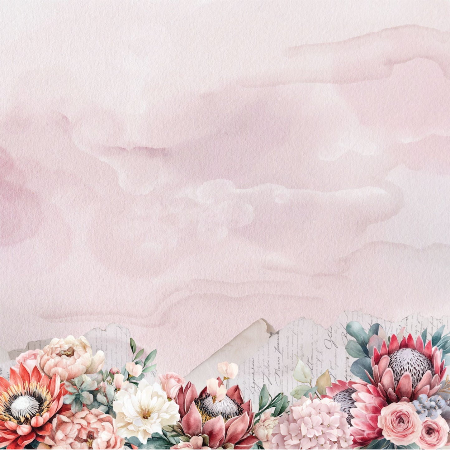 Paperbark Blooms Layered Bloom 12x12 paper front with blush watercolour wash and protea peony floral border by Uniquely Creative