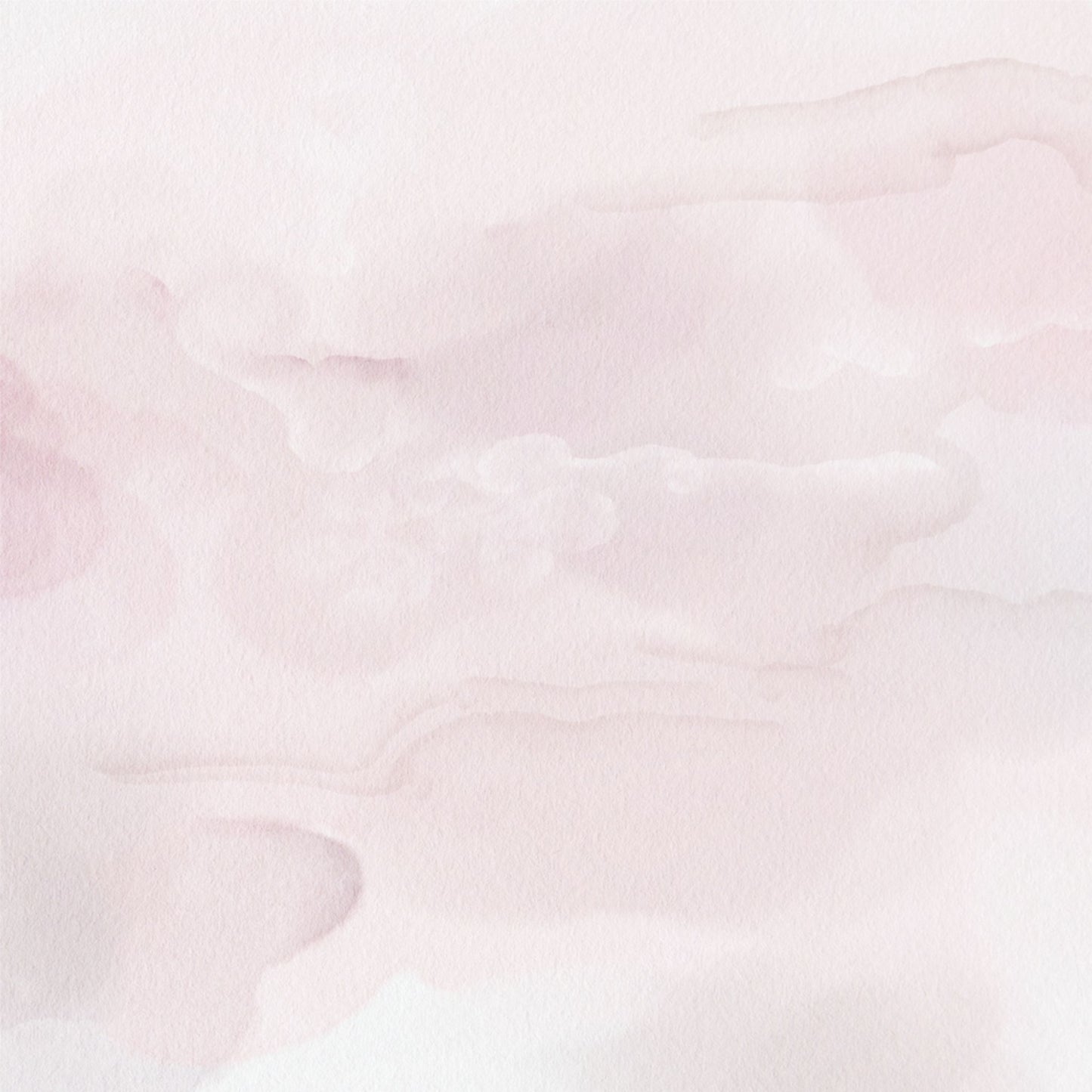 Paperbark Blooms Layered Bloom 12x12 paper reverse with pale blush watercolour wash by Uniquely Creative