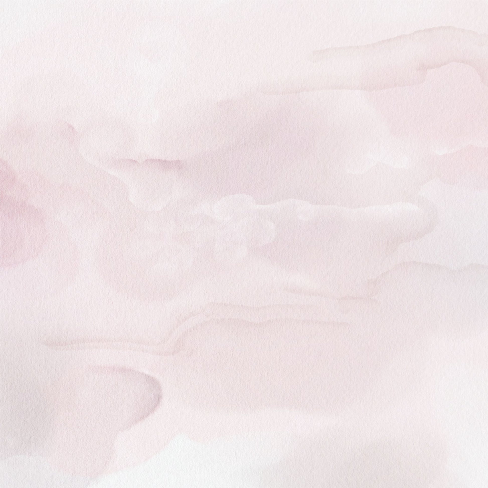 Paperbark Blooms Layered Bloom 12x12 paper reverse with pale blush watercolour wash by Uniquely Creative