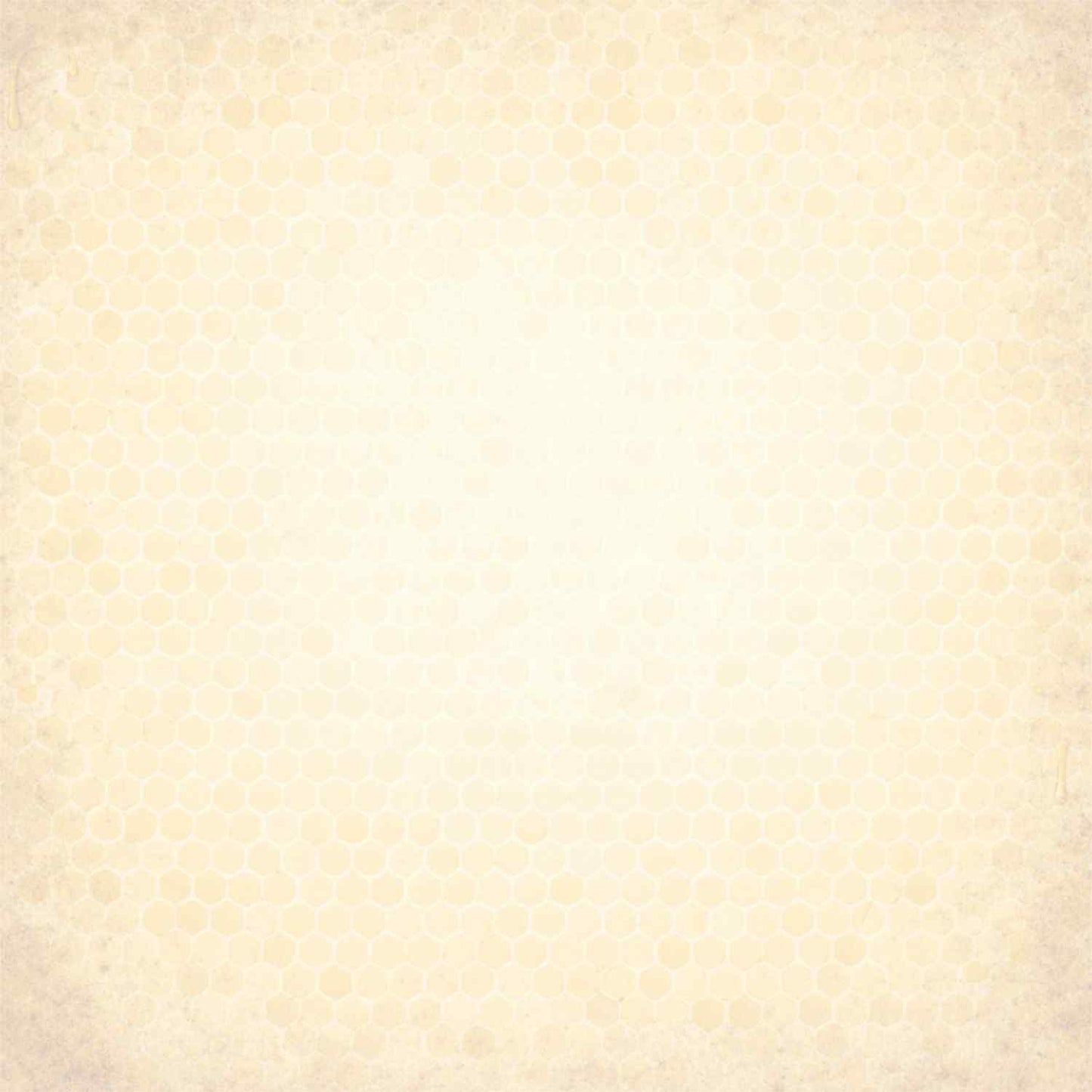 Uniquely Creative Sweet As Honey Sunday Garden 12x12 paper reverse side, plain warm cream parchment-textured cardstock
