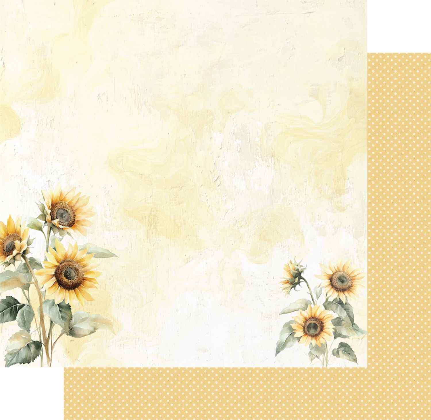 Uniquely Creative Sweet As Honey Sunny Days 12x12 paper stack showing front and reverse sides, featuring watercolour sunflowers on a distressed cream plaster front with a warm golden yellow polka dot reverse